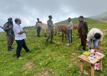 Indian Army and Animal Husbandry Department Join hands to Provide Veterinary Care in remote In Keran Bowl