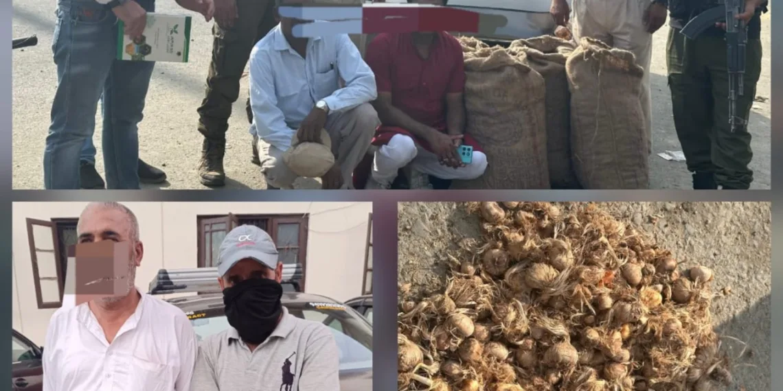 Four Held in Awantipora for Illegal Transport of Saffron Seeds Outside J&K