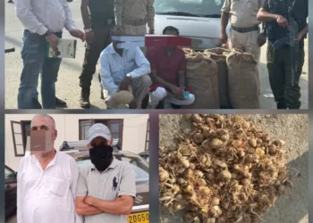 Four Held in Awantipora for Illegal Transport of Saffron Seeds Outside J&K