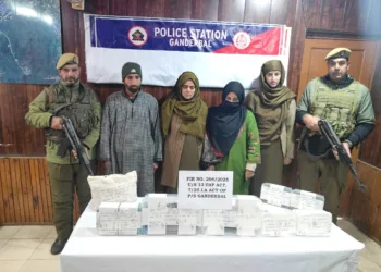 Two Terror Associates Nabbed With Weapons, Grenades and ₹8.40 Lakh Cash in Ganderbal