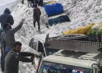Avalanche Along Zojila Axis Traps Vehicles, Rescue Operation Launched