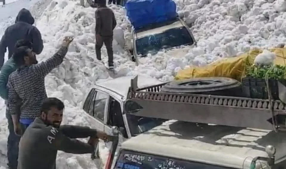Avalanche Along Zojila Axis Traps Vehicles, Rescue Operation Launched