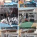 Awantipora Police Pays Tribute to Martyrs During Police Flag Day Week; Visits Martyr Families and Displays Their Portraits in Schools