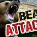 Man Injured in Wild Bear Attack in Aishmuqam