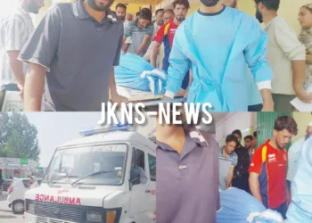 Elderly Man Mauled to Death in Bear Attack in Sopore