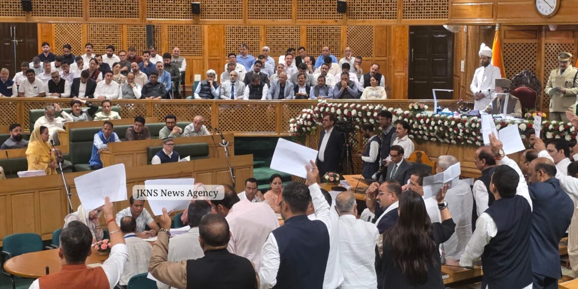 BJP Stages Protest Against Omar Govt As J&K Assembly Autumn Session Begins