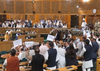 BJP Stages Protest Against Omar Govt As J&K Assembly Autumn Session Begins