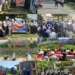 نشہ مکت جموں و کشمیر مہم کے تحت سوپور میں بیداری سرگرمیوں میں تیزی