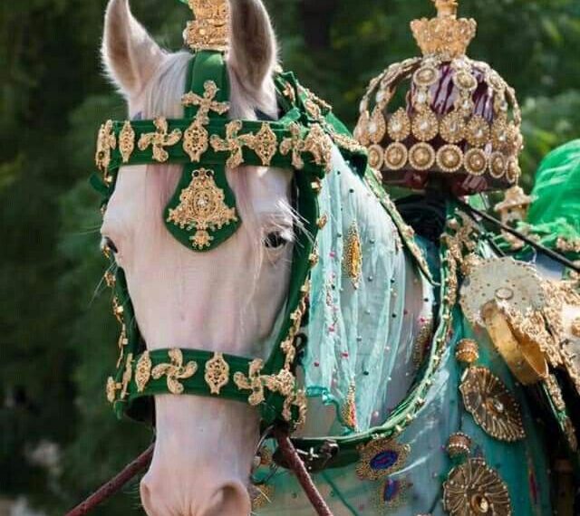 Zuljanah procession begins as Shia mourners march from Bota Kadal to Zadibal