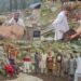 Awareness-cum-Veterinary Camp Organised at Gagdari Behak; Farmers Sensitised on Livestock Health and Government Schemes