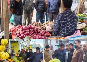 Market Checking Conducted at Batpora, Shopian by Revenue, Food Safety and CAPD Departments