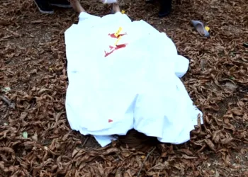 Body Found Near Fisheries Farm in Shopian, Probe Launched