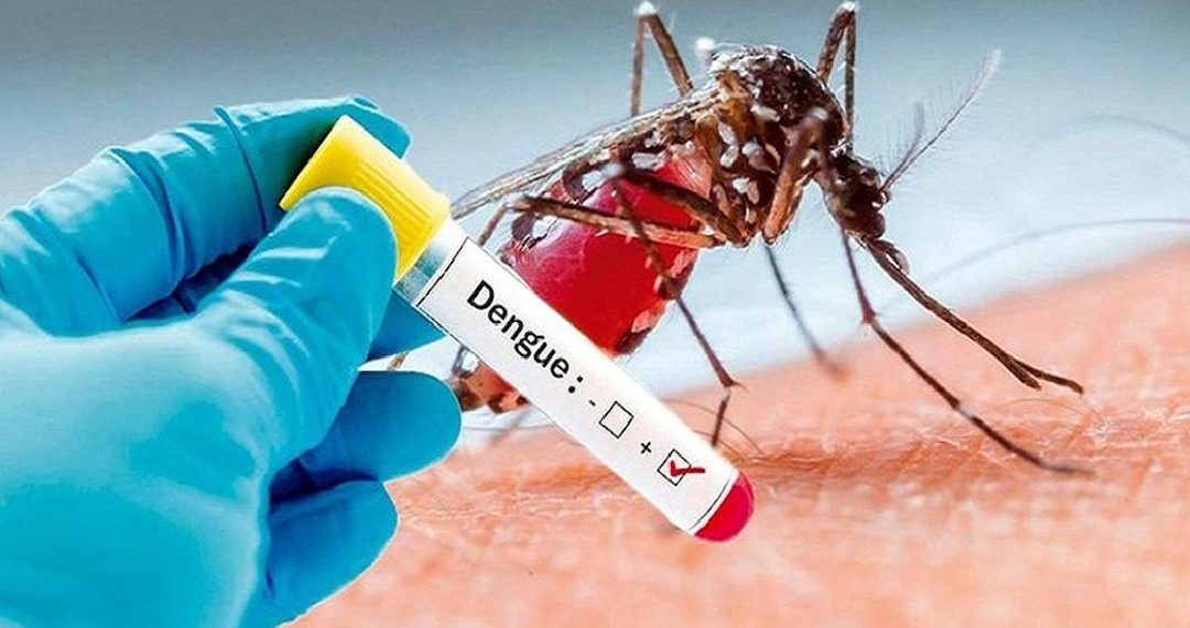 144 dengue cases reported in J&K this year so far