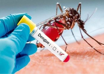 144 dengue cases reported in J&K this year so far