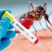 144 dengue cases reported in J&K this year so far