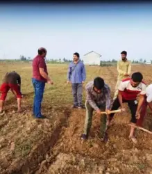 Kashmir’s Saffron Harvest: The Golden Spice of the Valley