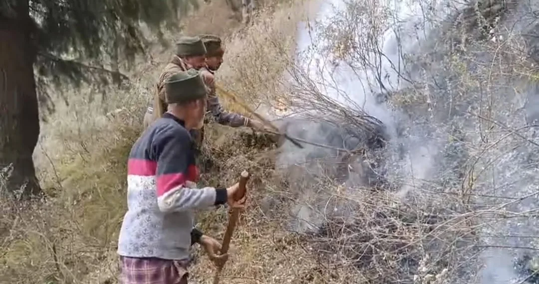 Dry Weather and Strong Winds Pose Danger; Forest Division Karnah Urges Public to Exercise Caution