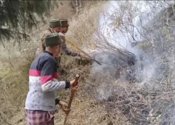 Dry Weather and Strong Winds Pose Danger; Forest Division Karnah Urges Public to Exercise Caution