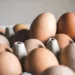 Eggs Safe for Consumption; Cancer Risk Claims Misleading, Says FSSAI