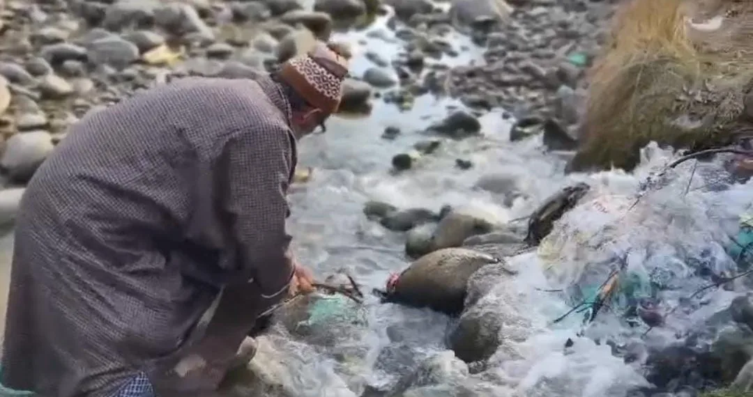 Save Environment, Save River Drive Held at Beerwah