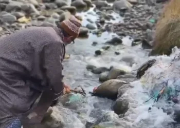 Save Environment, Save River Drive Held at Beerwah