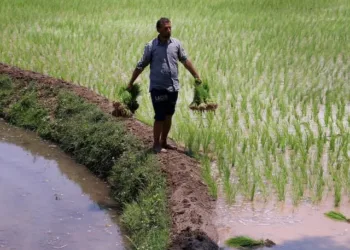 HORTICULTURE BASED INCOME BOOSTING FOR SMALL, FARMERS IN KASHMIR VALLEYS