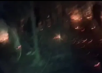 Massive Forest Fire Brought Under Control in Sheeri Area of Baramulla
