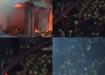 Fire Damages Around 1,000 Apple Boxes in Sopore