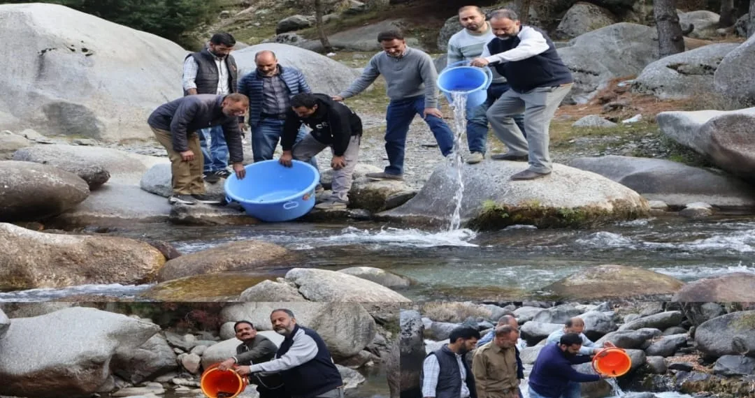Fisheries Department Kupwara Stocks Brown Trout Fingerlings in Designated Trout Streams