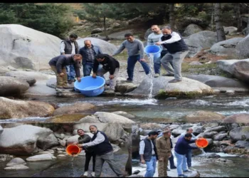 Fisheries Department Kupwara Stocks Brown Trout Fingerlings in Designated Trout Streams