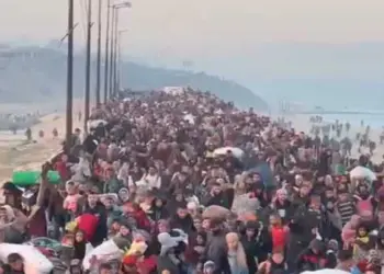 Thousands of displaced Palestinians return to Gaza