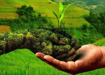 GREEN KASHMIR: SUSTAINABLE GROWTH