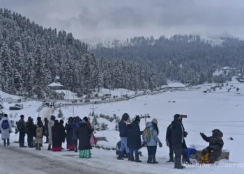 Gulmarg To Gurez: Top Winter Destinations in Kashmir