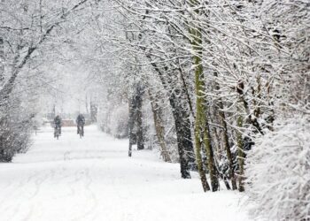 Warming climate affecting snowfall, raising risk of summer droughts, study finds