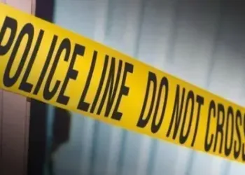 Arms and Ammunition Recovered During CASO in Karnah