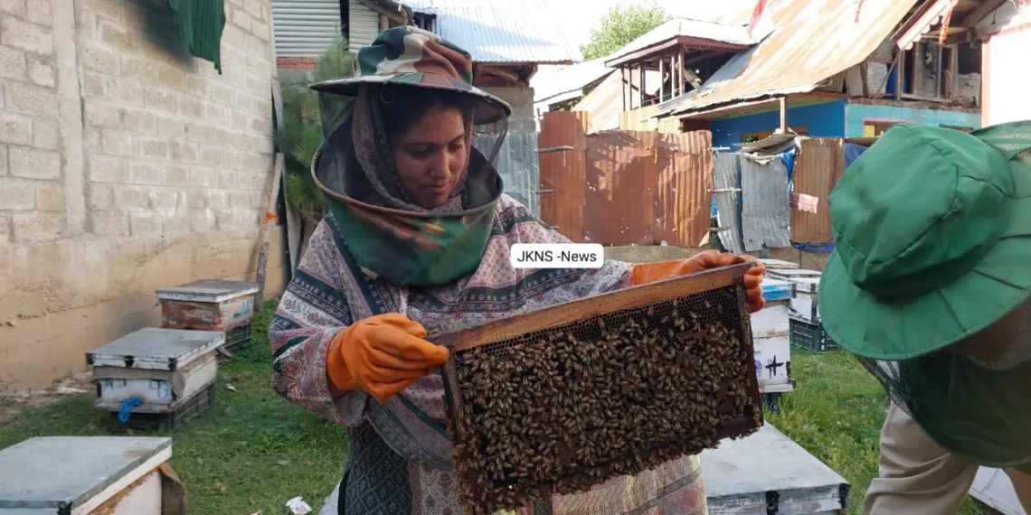Zoon Honey Bee Farming Blooms in Kupwara’s Bramri