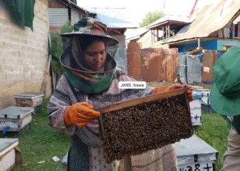 Zoon Honey Bee Farming Blooms in Kupwara’s Bramri