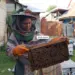 Zoon Honey Bee Farming Blooms in Kupwara’s Bramri