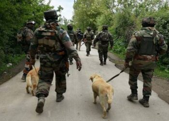 Kathua attack Joint search operations launched to track down terrorists