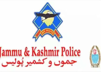 Persons With Grievous Cases Have Been Kept Under Preventive Custody For Free And Fair Election: Srinagar Police