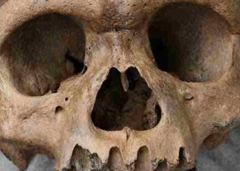 Human skeleton recovered in Sopore