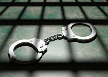 Narco terrorism Case’: SIA raids five locations in Kashmir