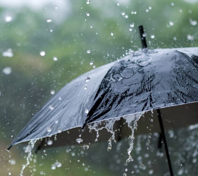 Temperature improves marginally in J&K, rain expected