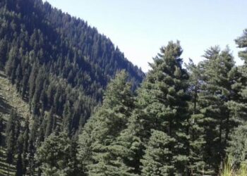 کشمیر کے جنگلی حیات کے سرمایہ کو تحفظ فراہم کرنے  کےلئے اقدامات کی ضرورت