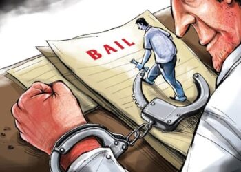 Journalist arrested under Official Secrets Act gets bail in J&K