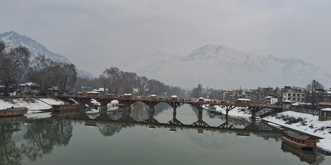 کشمیرمیں چھپے درد کاادیبوں اور شاعروں نے دنیا کو احساس دلایا 