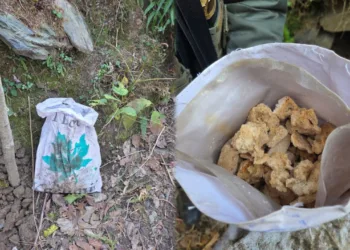 Operation Hajitra: Security Forces Thwart Narcotics Smuggling Attempt in Tangdhar; Suspected Contraband Recovered