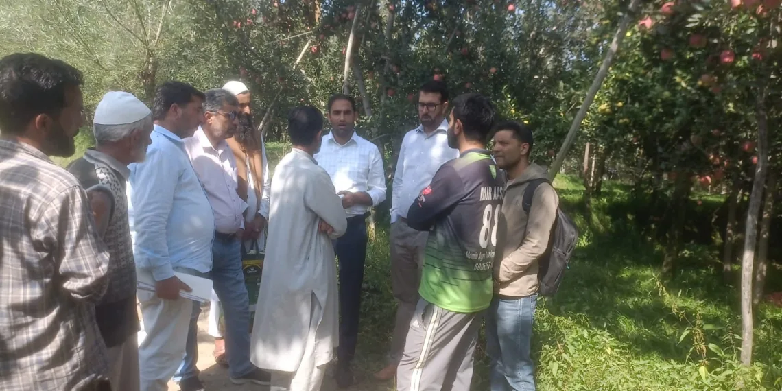 Migrant Land Retrieved in Yaripora, Kulgam