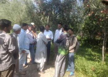 Migrant Land Retrieved in Yaripora, Kulgam