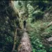 Two Srinagar Boys Missing After Losing Way in Ganderbal Forest